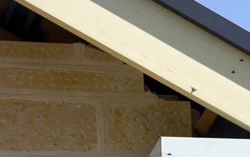 soffit repair Bottlesford