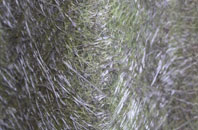 Bottlesford fibreglass roof work